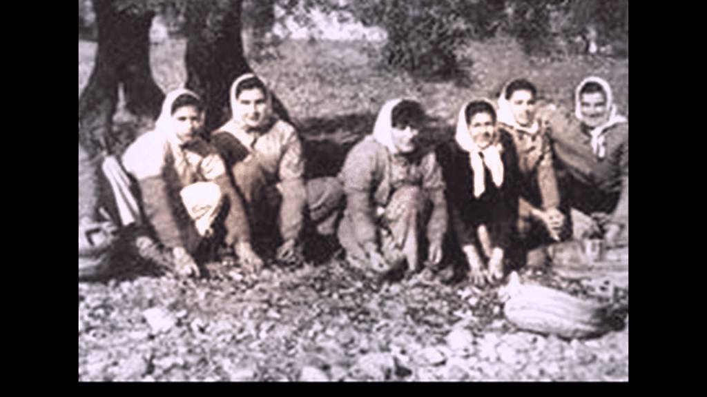 EL KOALA Tu romana.mpg