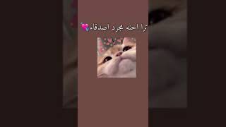 يييي حنه اصدقاء