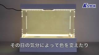 インテリア風小型水耕栽培装置 AY-710