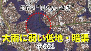 【緊急投稿】東京の“見えない谷底”｜大雨に弱い低地・暗渠 #001 渋谷駅／港区白金／新宿区落合／大田区清水窪〜洗足池／世田谷区北沢川