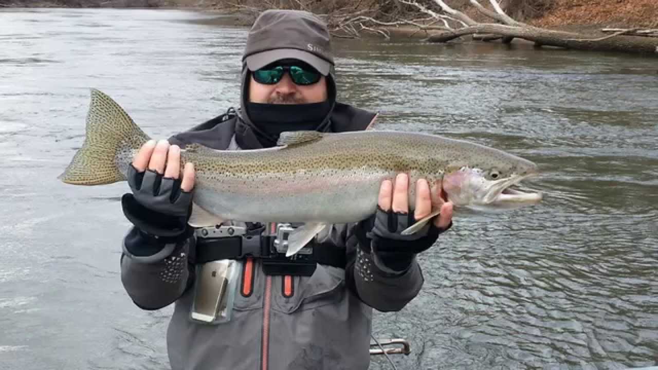 DIY Guide to Fly Fishing the St. Joseph River in Michigan