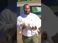 Short with dogos #americanbully #puppy #shorts #shortvideo #pitbull #love