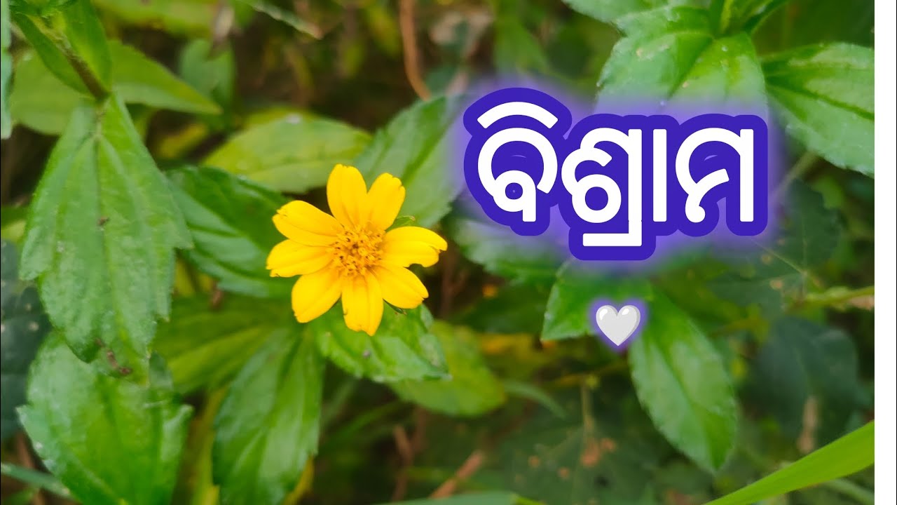 ଏହି ବିଶ୍ରାମ ସମସ୍ତକୁ ଆବଶ୍ୟକ ହୁଏ। Rest for all #odiamotivation #odiaspiritual #spiritualawakening 