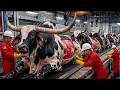Inside a White Brahman Bull Factory – Full Hide & Horn Processing Revealed
