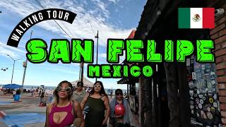 🌵 Walk Around the Amazing Village of San Felipe - Mexico 🇲🇽
