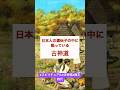 日本の古代信仰、古神道とは？！#スピリチュアル #古神道 #縄文時代