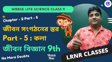 কলা-জীবন সংগঠনের স্তর (PART 5) Class 9 Life Science Chapter 2 | LRNR Classes
