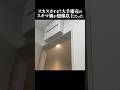 【大手ハウスメーカー】低品質な新築の実態を丸裸にしてみた・・・【切り抜き】 #shorts