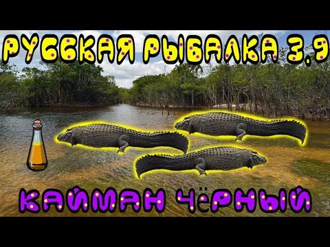 Русская рыбалка 3.9. Амазония.  Кайман чёрный.