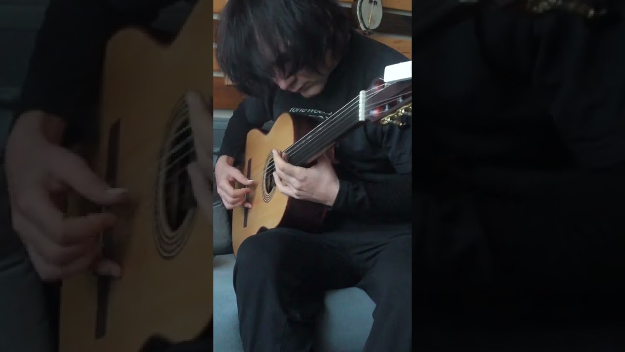 Perdesiz Gitar Fretless Guitar with TonewoodAmp Sounds Amazing