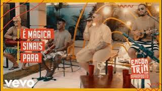 DI PROPÓSITO - É MÁGICA/ SINAIS/ PARA (AO VIVO)