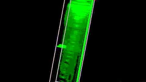 3D deconvolution- fluorescent z-stacking zebrafish