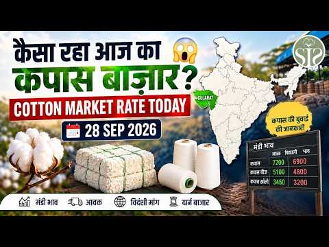 कैसा रहा आज का कपास बाज़ार? 😱 Cotton Market Rate Today 28 Sep 2026