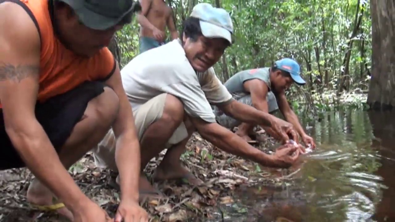 camera iphone 8 plus apk Ka'wayi moa Documental realizado por jòvenes del pueblo indigena Oro Wari HD