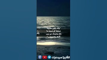 #تقليد #مشاري #قرآن #قرآن_كريم #تلاوه #مصر #السعودية #عرب #quraan#fypシ #fyp #freefire #funny