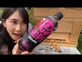 ミツバチにギルティ炭酸を与えてみると予想外な結果が....