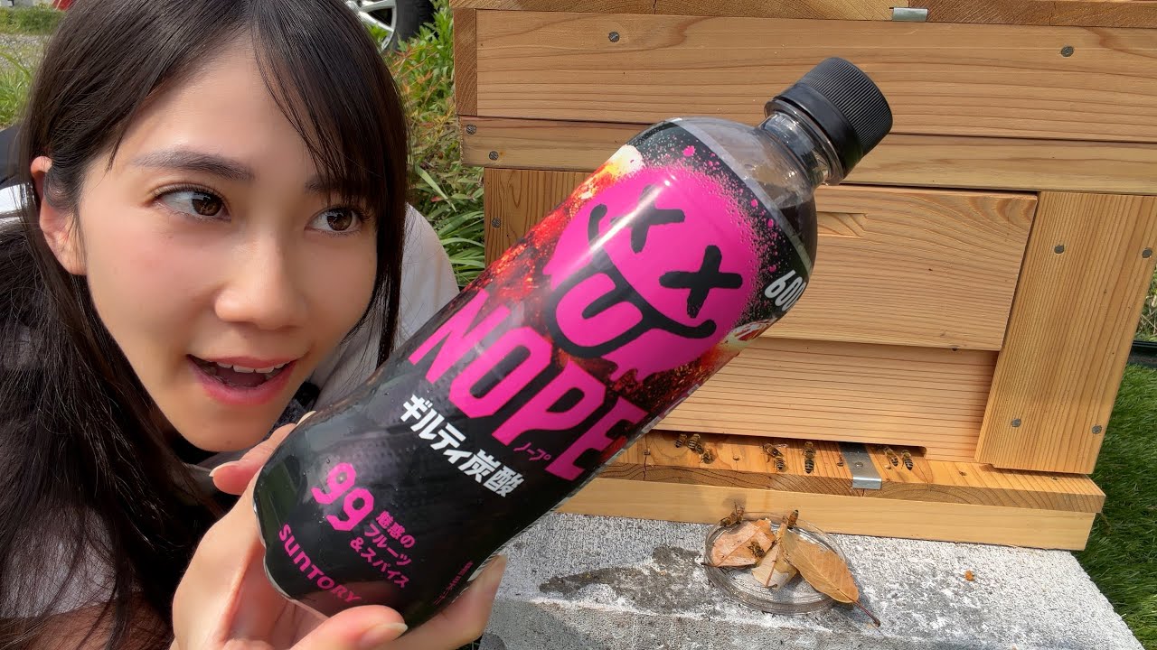 ミツバチにギルティ炭酸を与えてみると予想外な結果が....