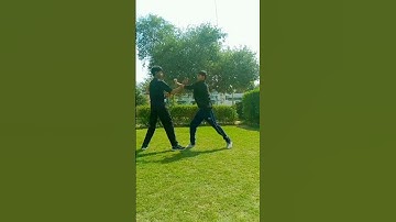 #Block the punch in #Wing Chun #martial arts #shorts #youtube #shorts #viral #video