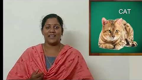 Std 3 English Unit 1 Class 03 White Board ASD