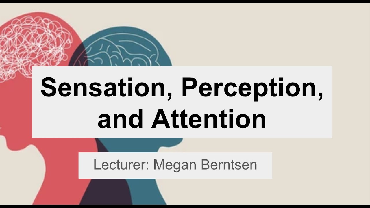 MCAT Question-Based Review Week 7: Sensation, Perception, and Attention ...