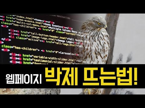 온라인 웹사이트 박제하는 방법 (SNS, 블로그, 홈페이지) - 특정화면 아카이브로 영구저장하기, 온라인 웹캡쳐 웨이백머신 (archive) | Use Wayback Machine