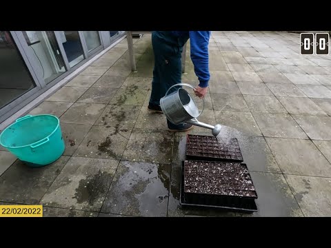 Video: Watter persentasie van sterftes in vloedstrome is voertuigverwant?