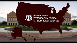Texas A&M VMBS: Aggie Excellence Across Texas...and Beyond