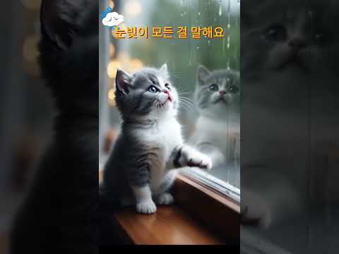 바깥 세상이 이렇게 가까운데… 왜 난 갈 수 없을까