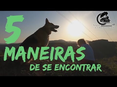 Vídeo: 5 Maneiras De Se Encontrar Na Vida