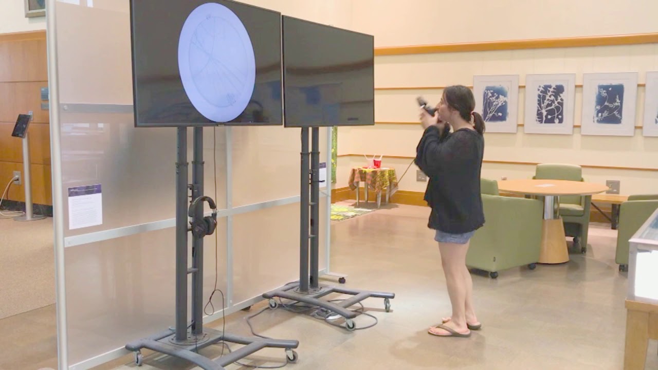 PolliNation: Artists and Scientists Raising Awareness About Pollinators