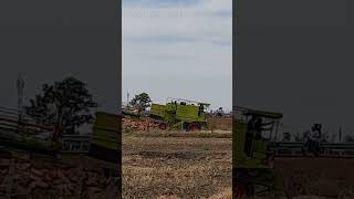 Harvester Combine #combin #harvester