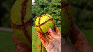 Guava Salt Chili Mood