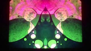 WICHT ~ live at Psychedelic Network Festival 2012 ~ lysergic liquid lightshow loop