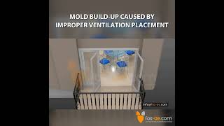 Mold in Apartments