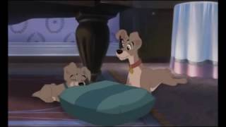 Lady And The Tramp 2 Part Two