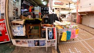 【今週のボツ動画】短い野良猫動画まとめて公開