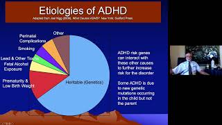 ADHD Overview -  Part IV -  Causes