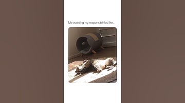 Me: Avoiding my responsibilities like 😂😂 #Shorts