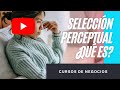 SELECCIÓN PERCEPTUAL ¿QUE ÉS? 🚀 TUTORIAL ⚡