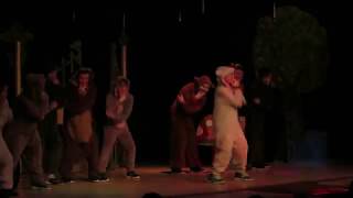 Panto 2017: Animal Dancers