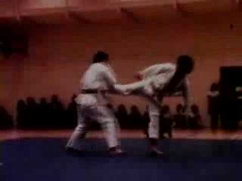 Hapkido demo 3 - Master Hwang In Sik