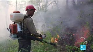 Feux de forêt en Sibérie : L'armée mobilisée pour aider les pompier