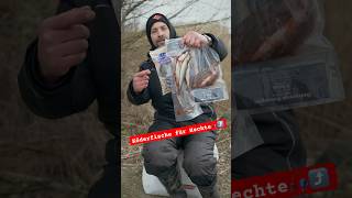 Die besten Köderfische für große Hechte im Winter🎣#raubfischangeln #hechtangeln #köderfisch #hecht