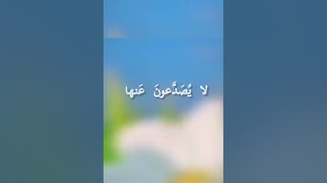 ماتيسر من سورة  الواقعة  بصوت الشيخ/ عبد الله غيلان  .