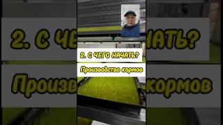 С чего начать производство кормов, гидропонных кормов, зеленого корма, ростки зерновых #гидропоника