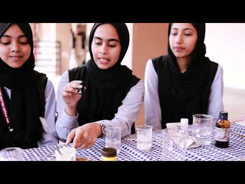 Innovation Expo 2026| MES Kalladi College, Mannarkkad