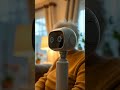 Harmonics of AI at Work and in Robotics