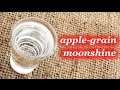 How to make Apple-grain moonshine, homemade recipe