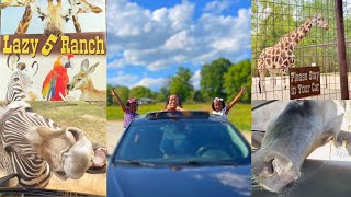 LAZY 5 RANCH | FAMILY VLOG | FARM ANIMALS | RANCH| FAMILY FUN| FUN THINGS TO DO IN CHARLOTTE