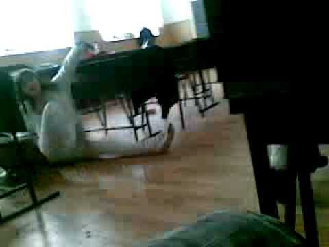 Georgescu Corina Armand Calinescu Pitesti :))